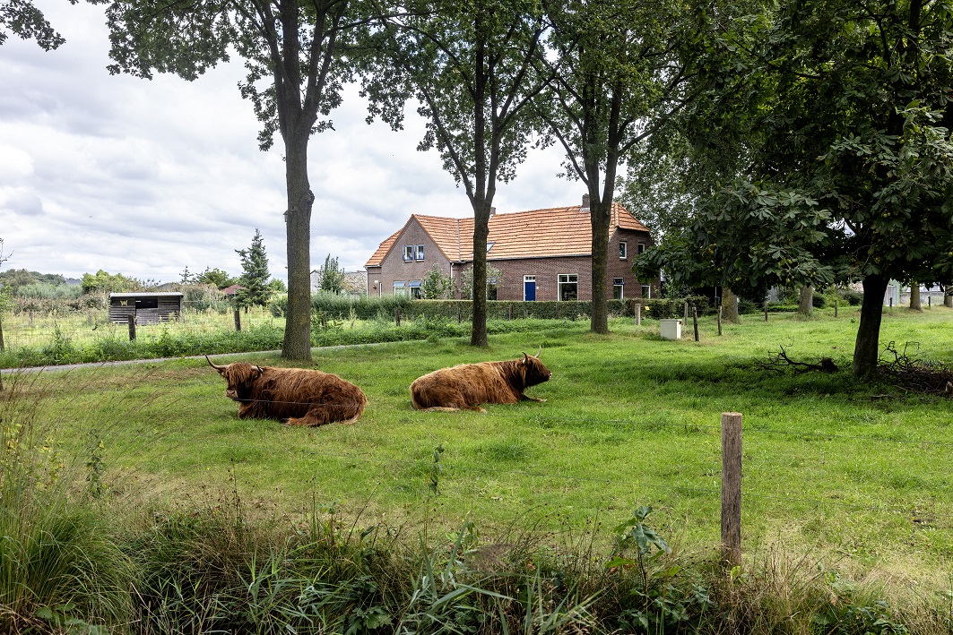 Foto van een weiland in Vinkel